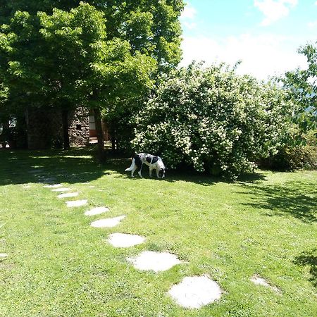 グレーヴェ・イン・キアンティ Casa Mezzuola Agriturismoヴィラ エクステリア 写真