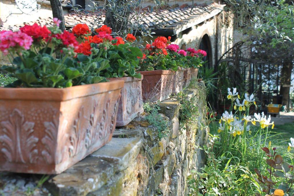 グレーヴェ・イン・キアンティ Casa Mezzuola Agriturismoヴィラ エクステリア 写真